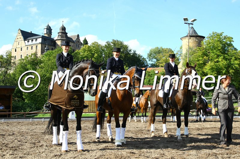 109M4818_Avantgarde_Dressur S.JPG